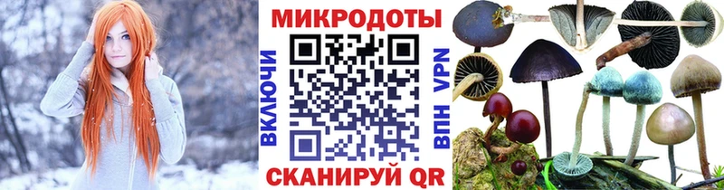 Галлюциногенные грибы мицелий  ссылка на мегу как зайти  Инсар  где продают  